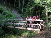 Brücke im Mollental