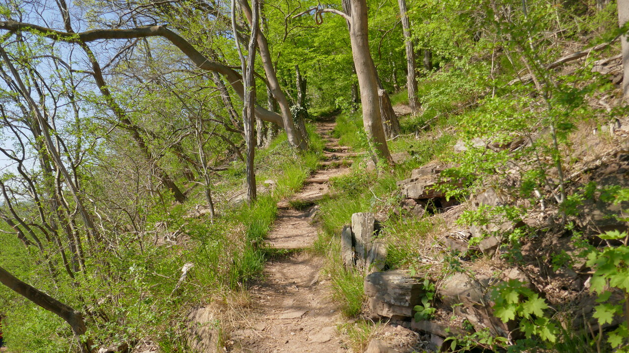 Schmaler Bergpfad