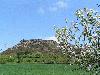 Thekenberg mit Obstbaum