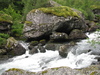 Bemooste Felsen an der Bondhuselva