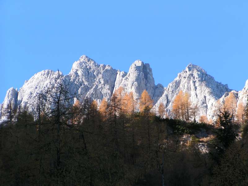 Blaueisspitze