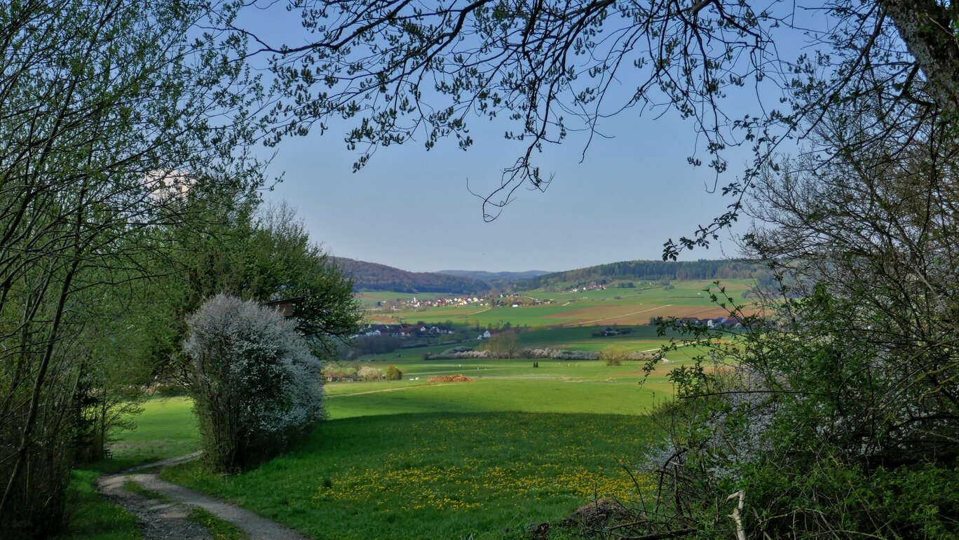 Blick ins Alsbachtal
