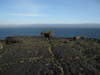 Lavafeld mit Felsblöcken