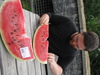 Melonenfest in Alleghe