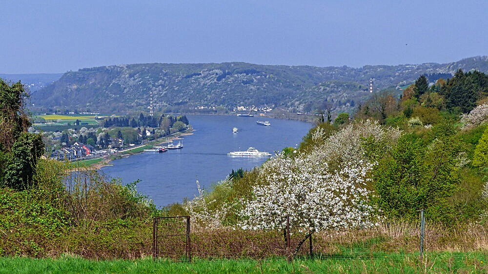 Blick auf den Rhein bei Dattenberg
