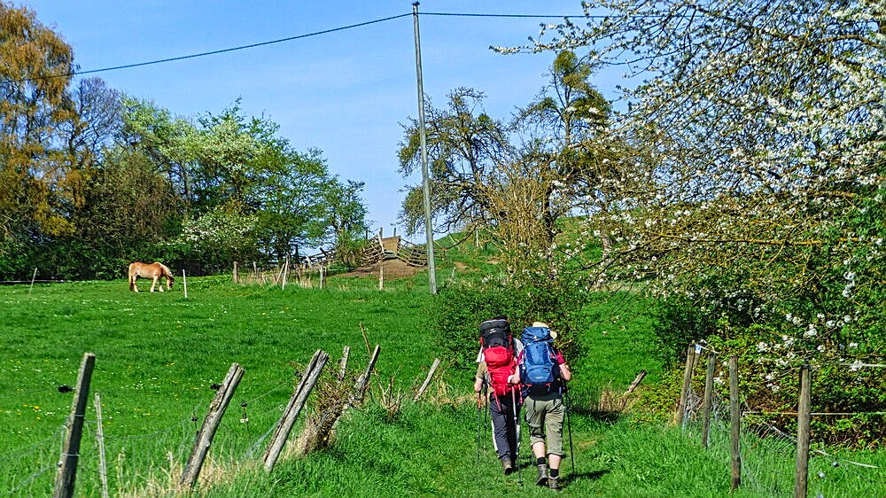 Wiesen bei Rodenbach