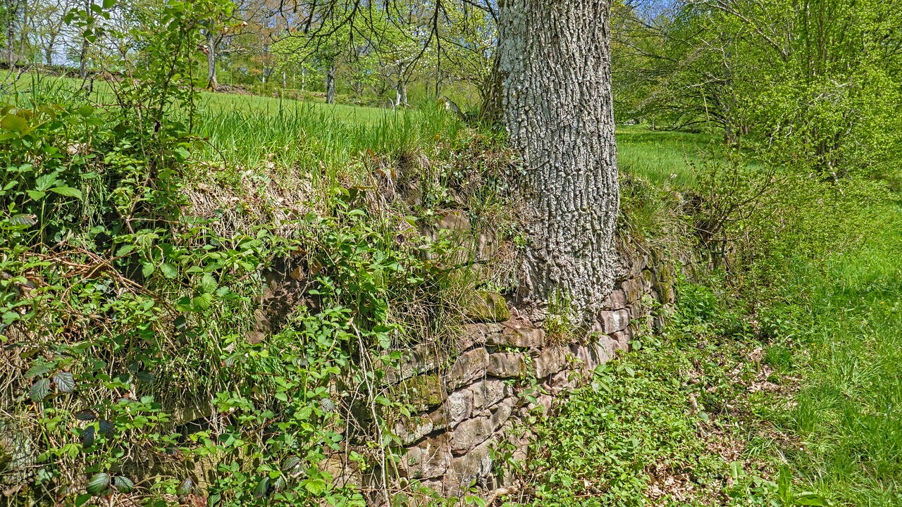 Trockenmauerwerk bei Berneck