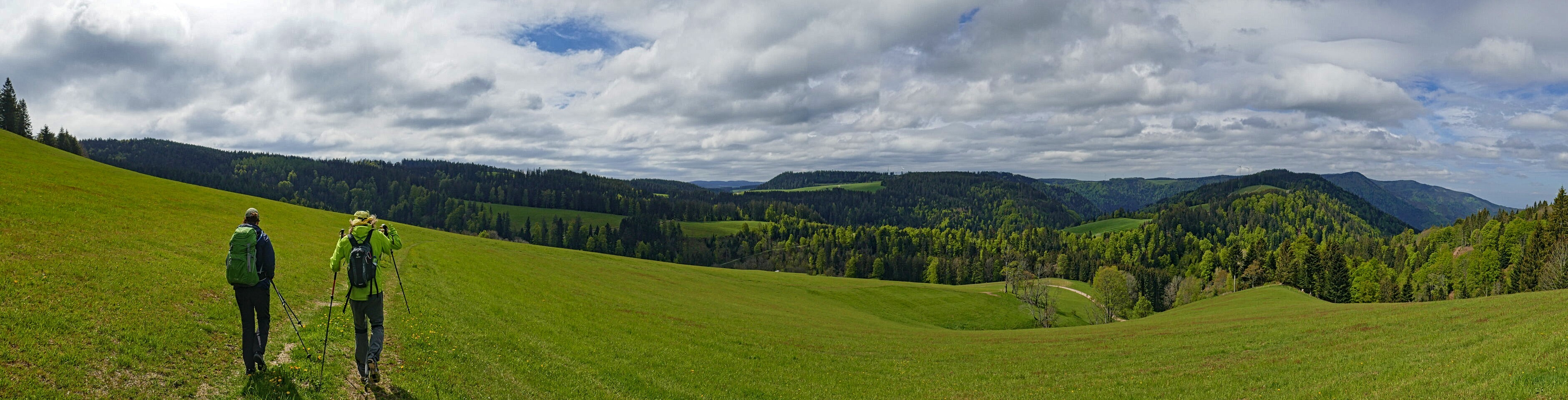 Panorama am Brend-SW-Hang