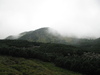 Bergkuppe im Nebel