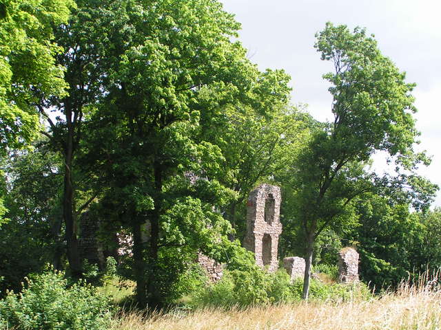 Ruinen der Stecklenburg