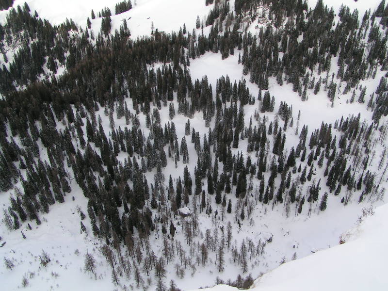 Winterwald von oben