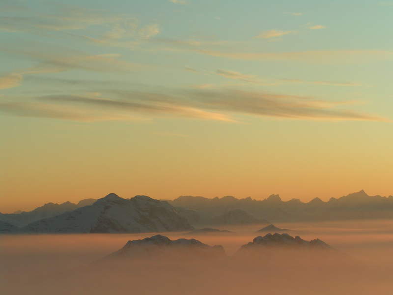 Nebelmeer mit Bayerischen Alpen