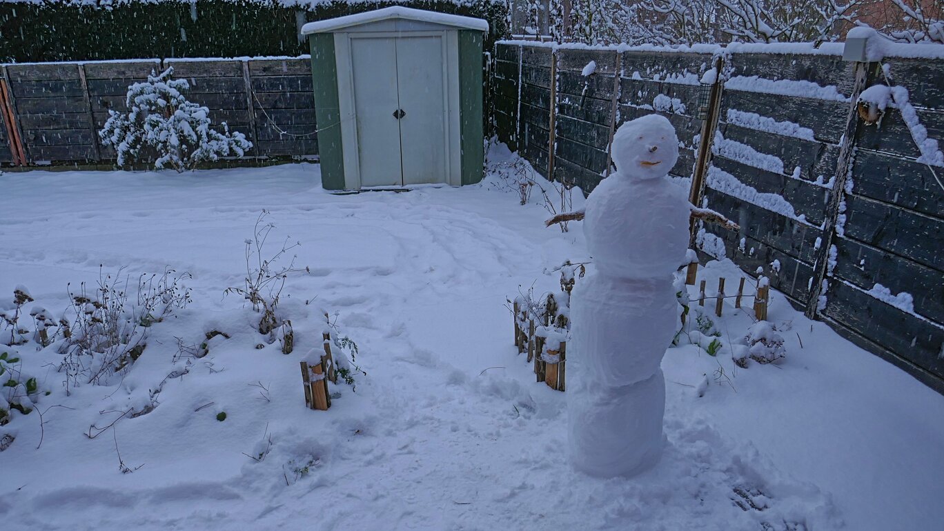 Schneemann im Garten