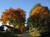 Herbstfarben in Schönhagen
